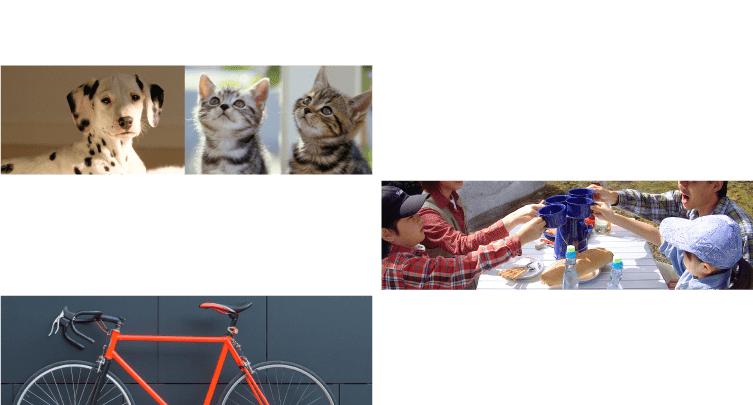 ペット・アウトドア・カー・サイクル