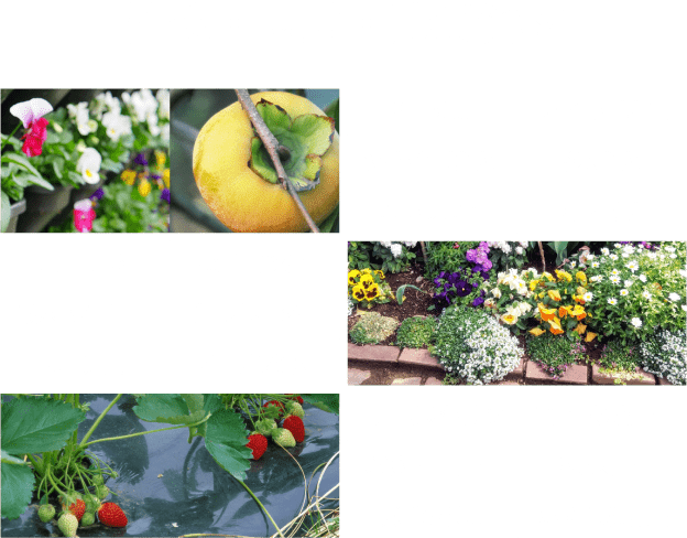 インテリア・電気・時計・玩具