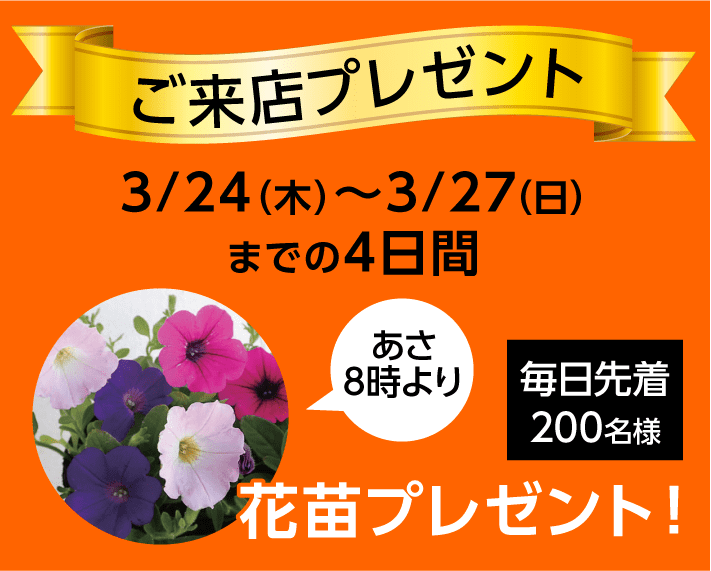 ご来店いただいた方に「花苗」をプレゼント！