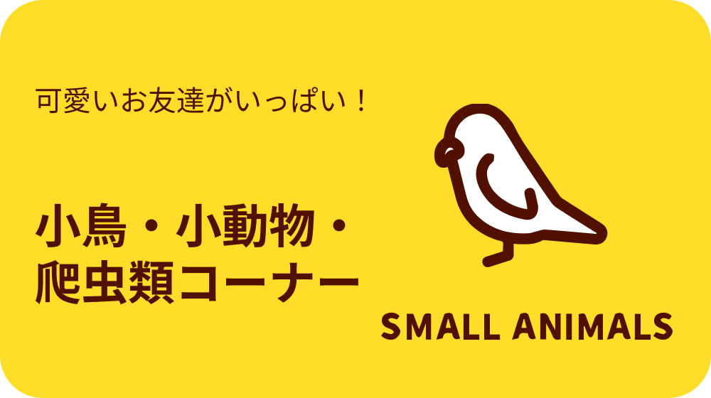 小鳥・小動物・爬虫類コーナー