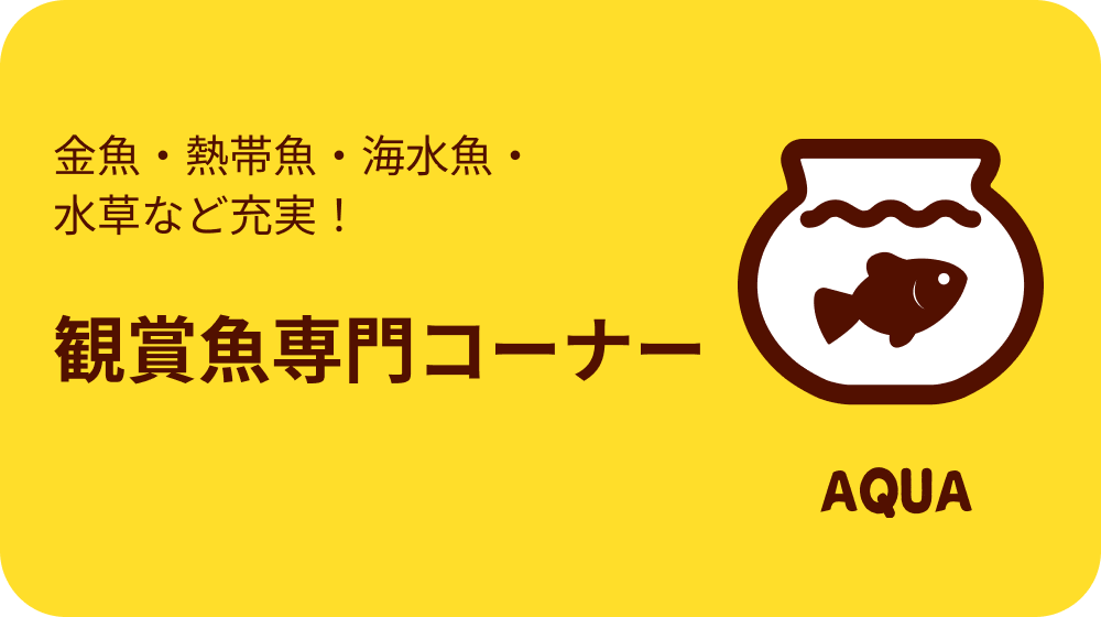 観賞魚専門コーナー