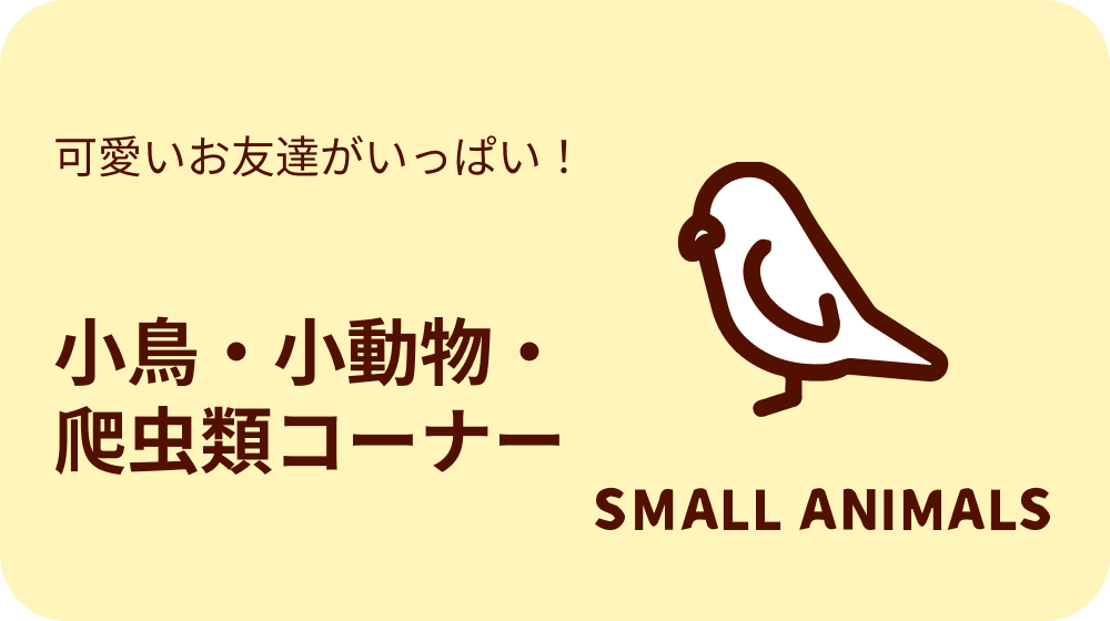 小鳥・小動物・爬虫類コーナー