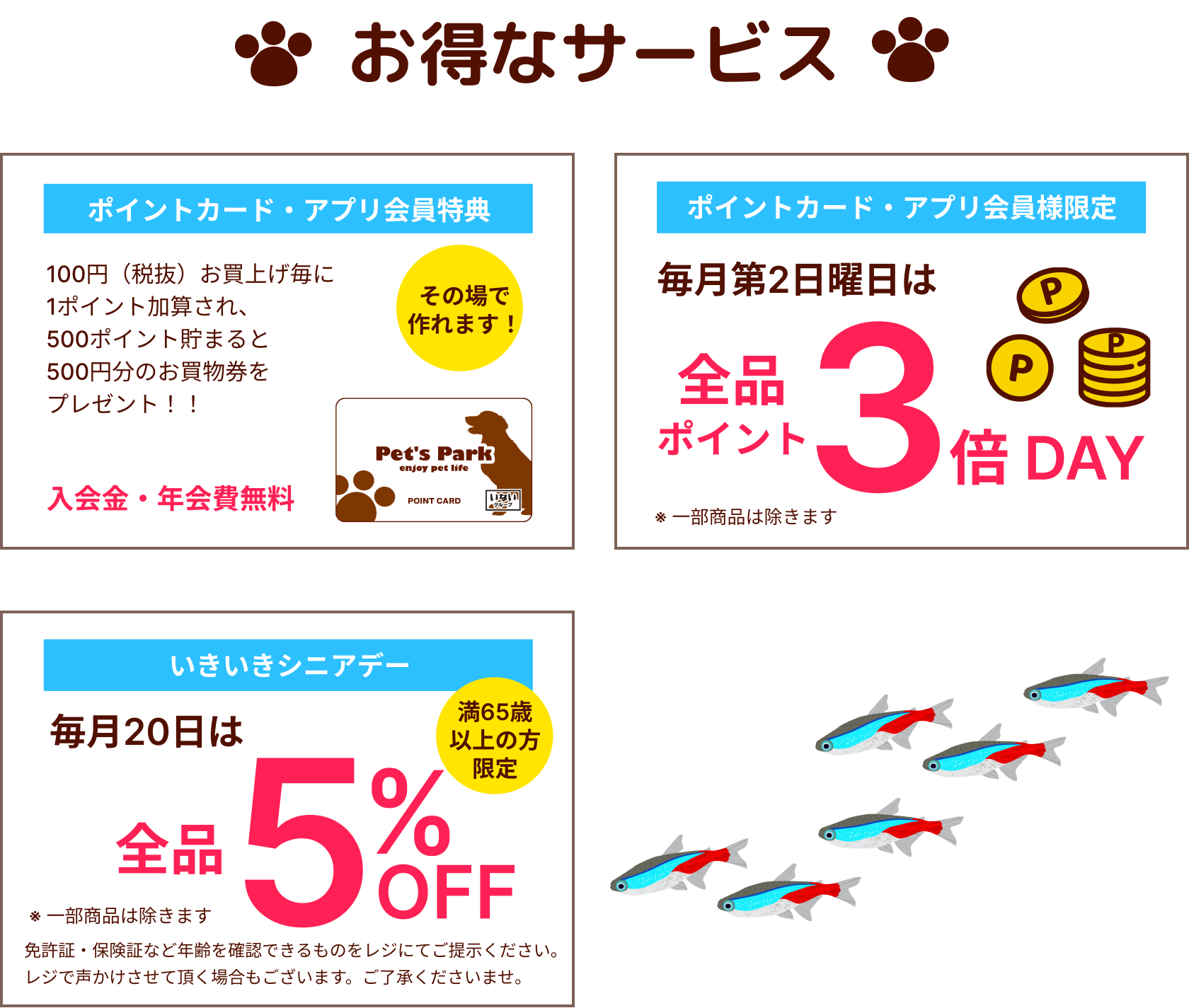お得なサービス：ポイントカード特典、毎月第二日曜日は全品ポイント3倍！